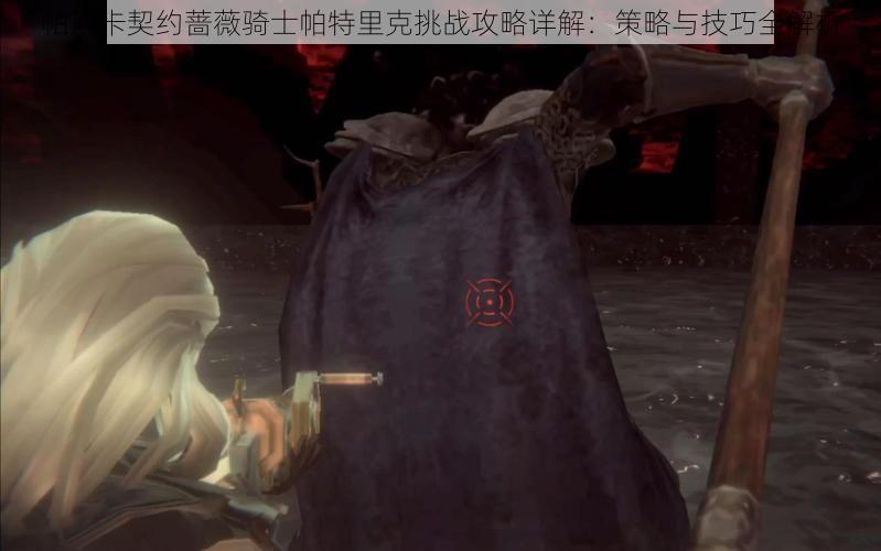 帕斯卡契约蔷薇骑士帕特里克挑战攻略详解:策略与技巧全解析