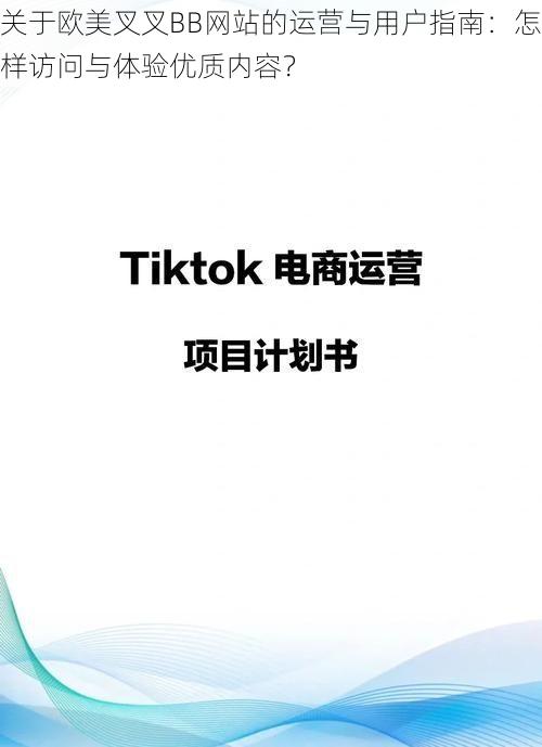 关于欧美叉叉BB网站的运营与用户指南:怎样访问与体验优质内容?