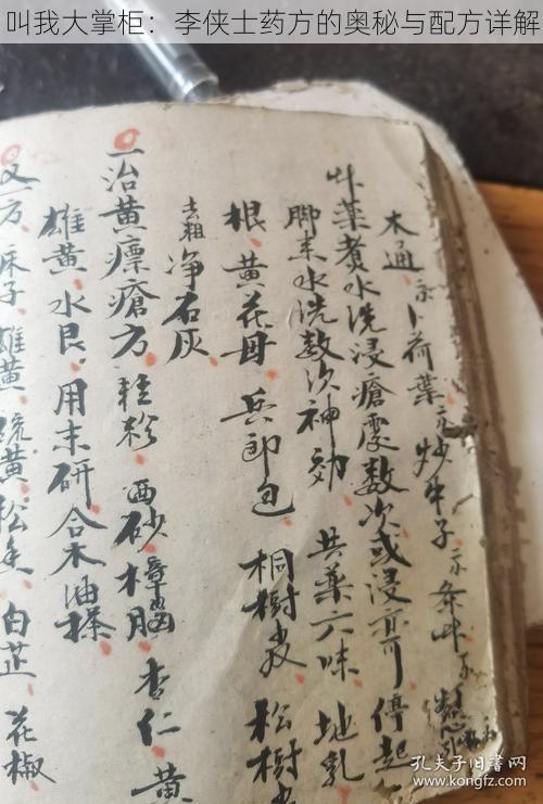 叫我大掌柜:李侠士药方的奥秘与配方详解