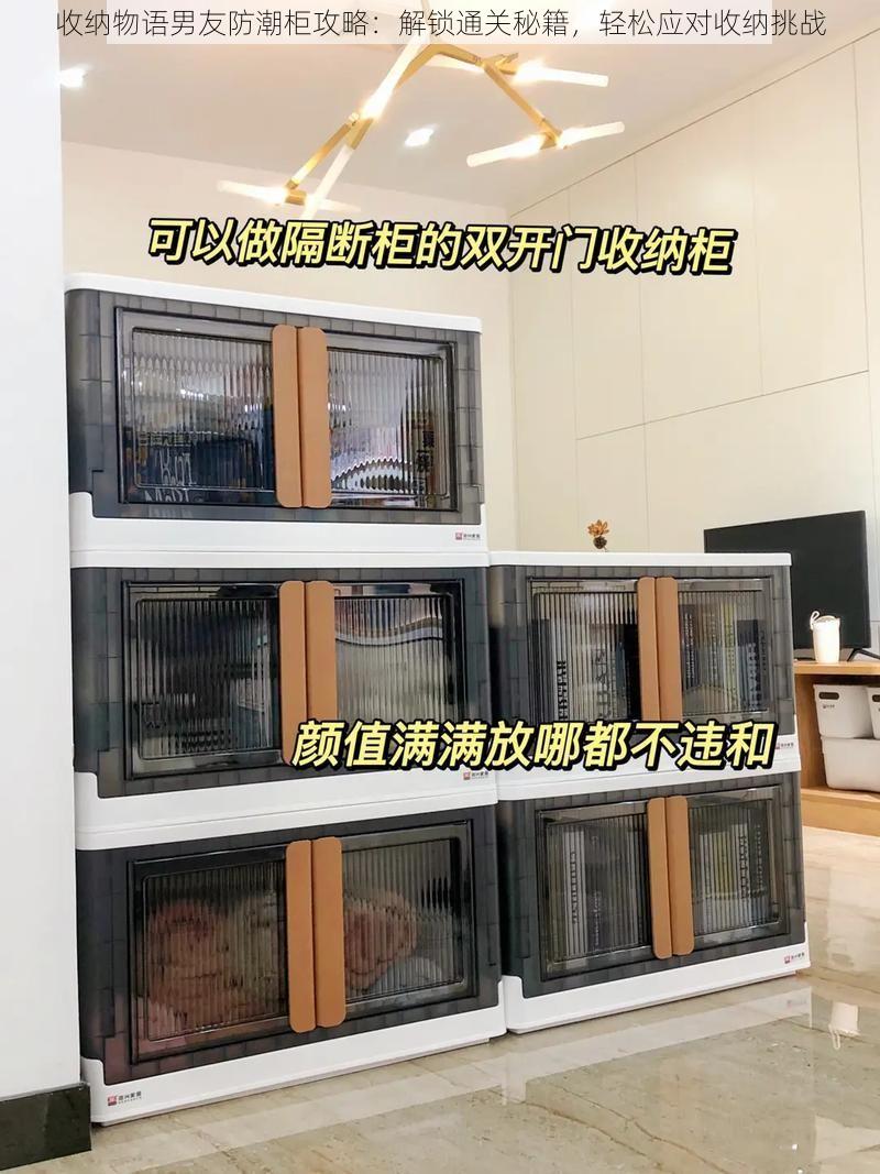 收纳物语男友防潮柜攻略:解锁通关秘籍,轻松应对收纳挑战